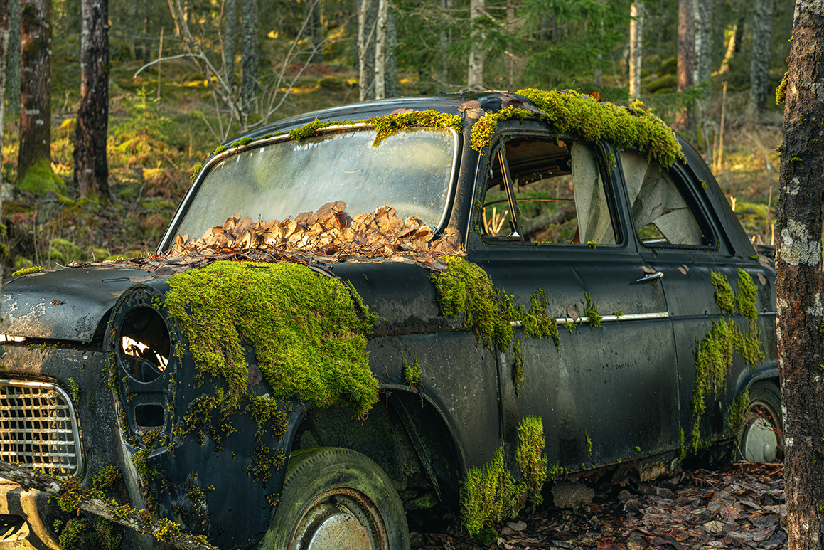 En övergiven bil, överväxt med mossa, står i skogen.