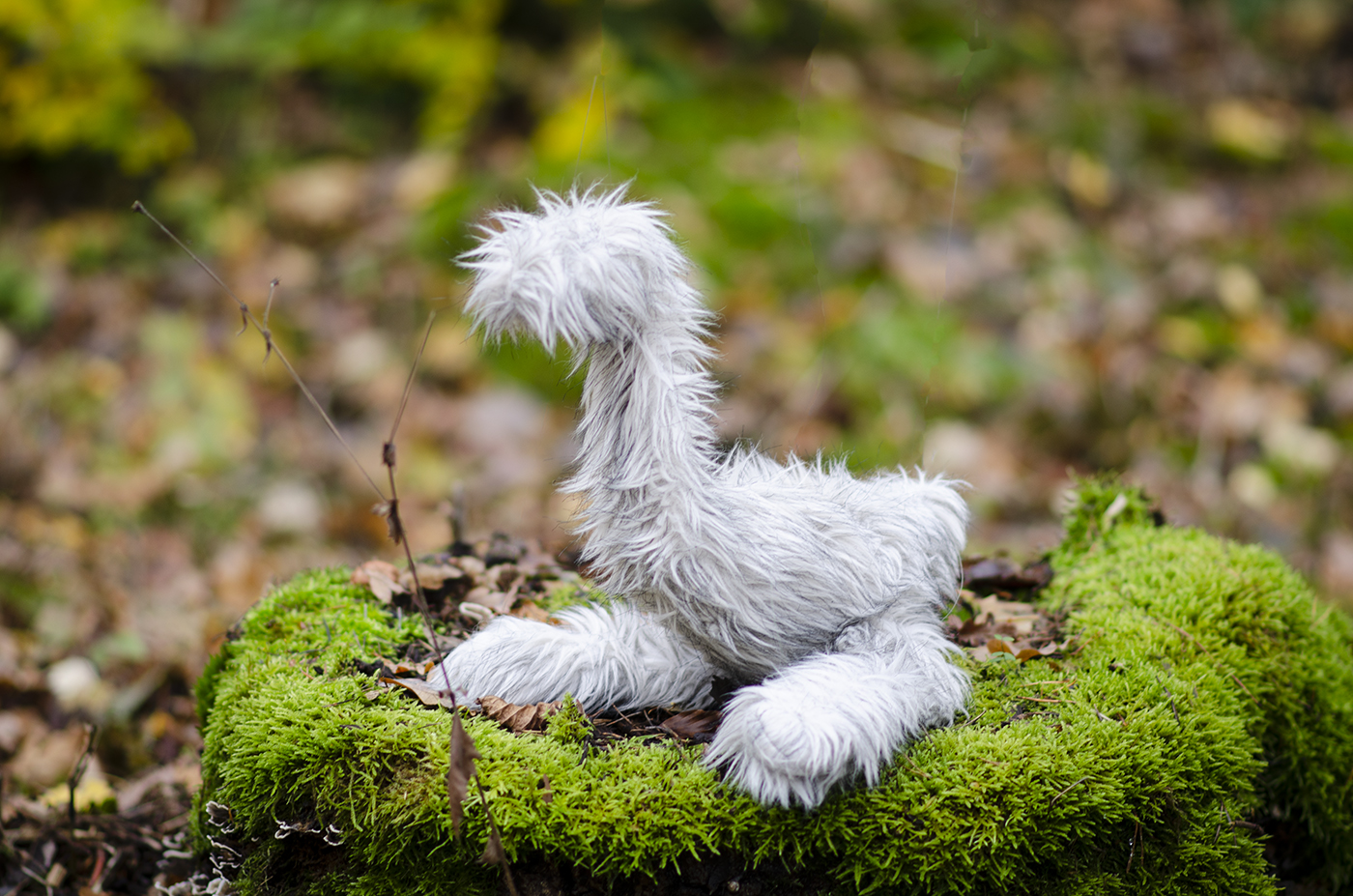 Ett lurvigt, vitt mjukisdjur som påminner om en hund, sitter på en sten med mossa. Djuret är känt som "Lufsen".