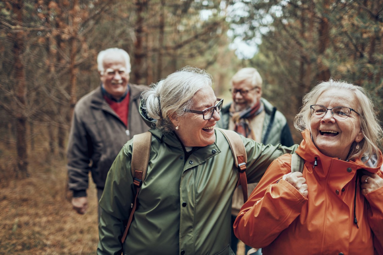 Glada pensionärer som promenerar i skogen